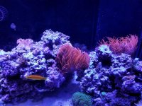 2016-11-04 22.19.23.jpg