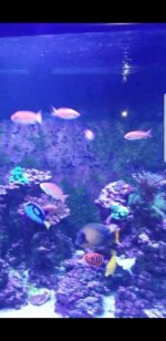 Screenshot_20180417-015114.jpg