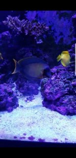 Screenshot_20180417-015221.jpg