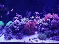 2017-05-13 17.05.45.jpg