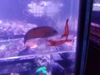 20170523_140055.jpg