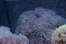 5-16-06.jpg