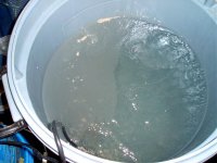tub of water 001.jpg