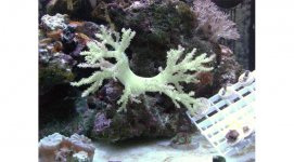 Austin 14 wks 015 820x454.jpg