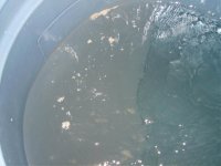 tub of water 002.jpg