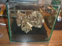 DSCF0623.JPG