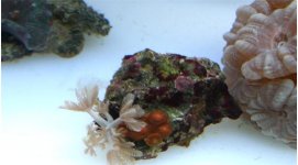 MY PICCS 023 820x454.jpg