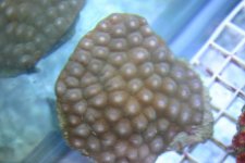 5-16-06 029.jpg