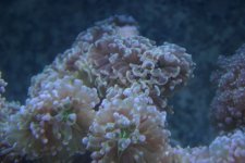 5-16-06 031.jpg