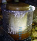 cup3.jpg