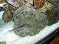 Christmas 2006 249.jpg