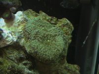 onlinesalepics 314.jpg