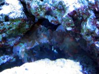 IMG_0153.JPG