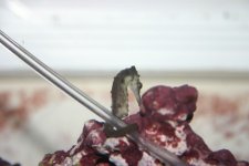 ODDS and ends 001.jpg