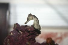 ODDS and ends 002.jpg