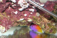 ODDS and ends 004.jpg