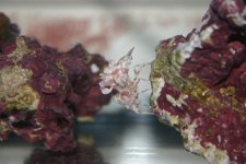 ODDS and ends 003.jpg