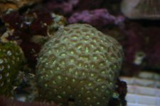 Great pics 012.jpg