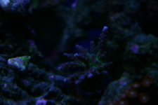 Updates 011.jpg
