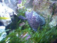 100_2322.jpg
