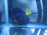 IMG_0634.JPG