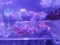 20170523_140048.jpg