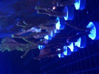 DFCB10F9-5A2E-40CD-B0C9-D6395B3F6AC8.jpg