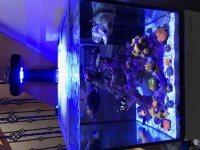 IMG_2486.jpg