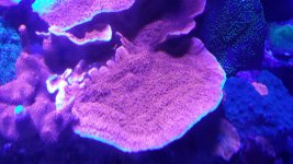 20180130_132320.jpg