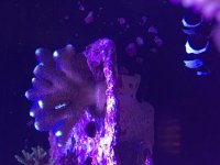 IMG_5269.jpg