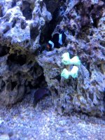 IMG_20180826_100659.jpg