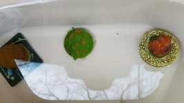 20180417_113654.jpg