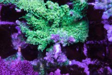 IMG_0383.jpg