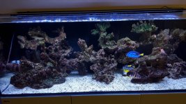 20170113_193144.jpg