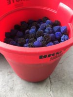 IMG_3863.jpg