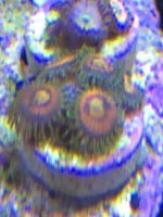 61FD013E-136E-425B-BB27-3648A6D5C931.jpg