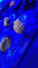 20180128_125034001.jpg