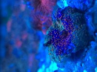 IMG_2033.jpg