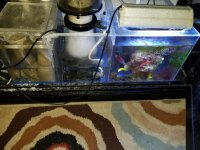 20170807_182834.jpg