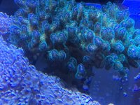 IMG_0411.JPG