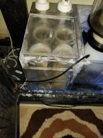 20170807_182845.jpg