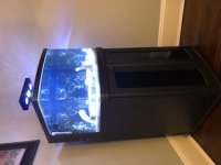 IMG_0507.jpg