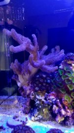 20180121_121145.jpg