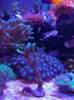 IMG_8369.jpg