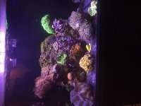 IMG_1500.jpg
