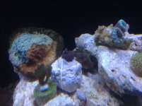 IMG_4930.jpg