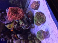 IMG_7605.JPG