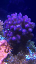 IMG_7603.jpg
