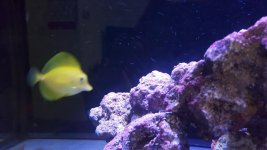 20181118_192213.jpg