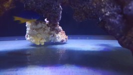 20181118_192203.jpg